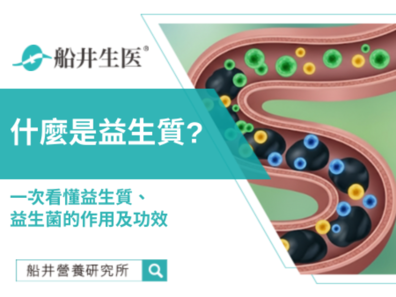 腸道常常鬧脾氣？你需要益生菌和益生質2大幫手