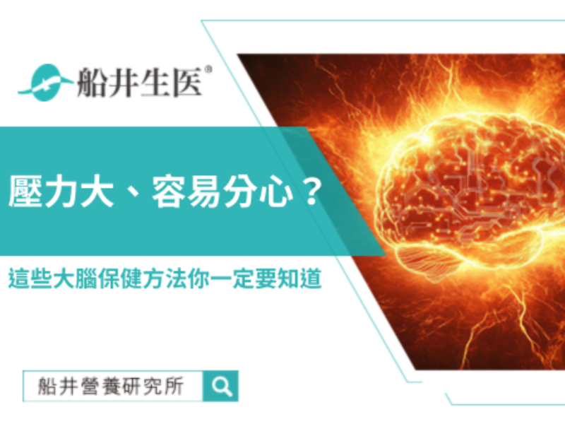 壓力大、易分心？守護大腦健康的關鍵之道