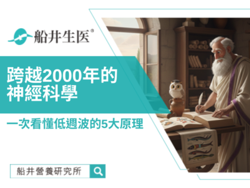 低週波原理是什麼？一次看懂 TENS 如何舒緩久坐肌肉僵硬